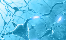 Middle aged and worrying about memory problems? Here are some tips on managing your memory better
