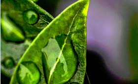 How to move yourself and others from reflexive to reflective responding